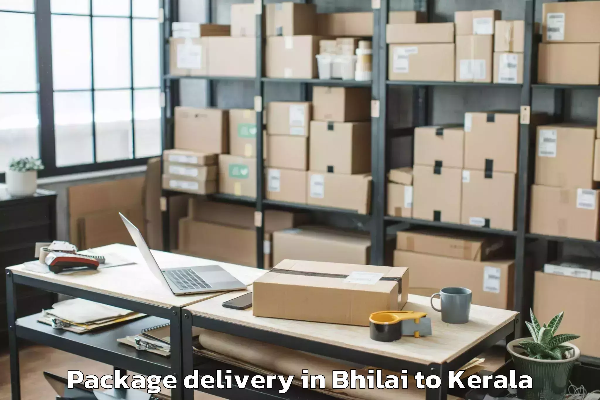 Book Your Bhilai to Panthalam Package Delivery Today